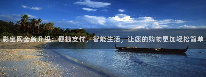 28圈电子娱乐官网下载：彩宝网全新升级：便捷支付，智能生活，让您的购物更加轻松简单