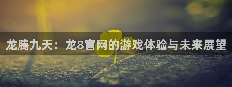 28圈能源：龙腾九天：龙8官网的游戏体验与未来展望