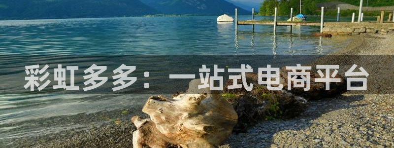 28圈平台最新版本下载：彩虹多多：一站式电商平台