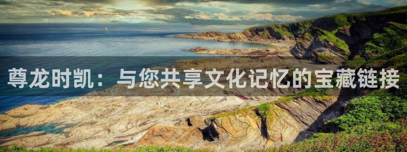 28圈体育用品：尊龙时凯：与您共享文化记忆的宝藏链接